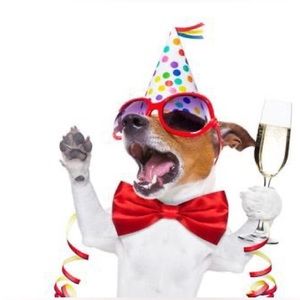 ✩░▒▓▆▅▃▂▁𝐌𝐞𝐞𝐭 𝐘𝐨𝐮𝐫 𝐏𝐨𝐬𝐡𝐞𝐫▁▂▃▅▆▓▒░✩